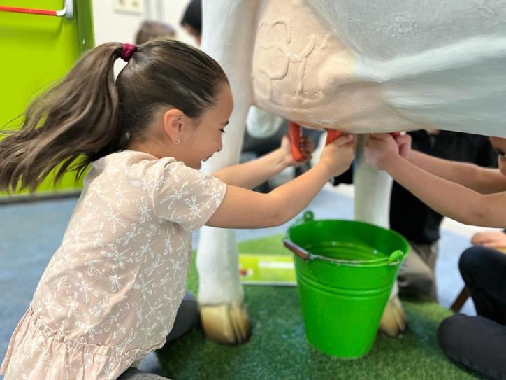Kinderen van De Pionier in Rotterdam leren hoe ze een koe kunnen melken. Kinderen van De Pionier in Rotterdam leren hoe ze een koe kunnen melken.