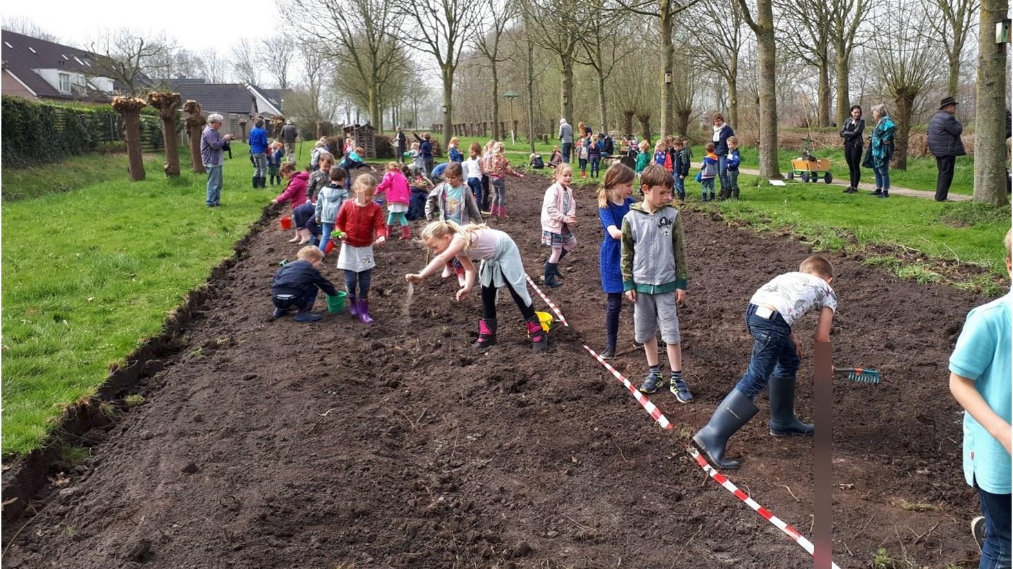 Kinderen van de Protestants Christelijke Basisschool De Wegwijzer in 's Gravenmoer zijn actief aan het tuinieren op het schoolplein. Kinderen van de Protestants Christelijke Basisschool De Wegwijzer in 's Gravenmoer zijn actief aan het tuinieren op het schoolplein.