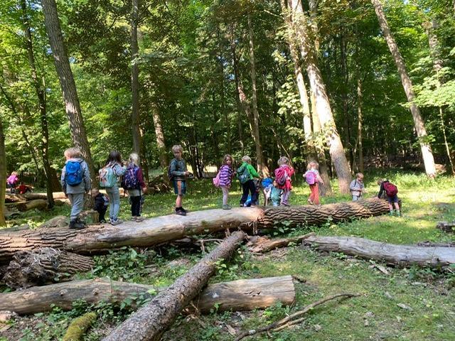 Kinderen van de Vrije School Kleverpark in Haarlem spelen in het bos. Kinderen van de Vrije School Kleverpark in Haarlem spelen in het bos.