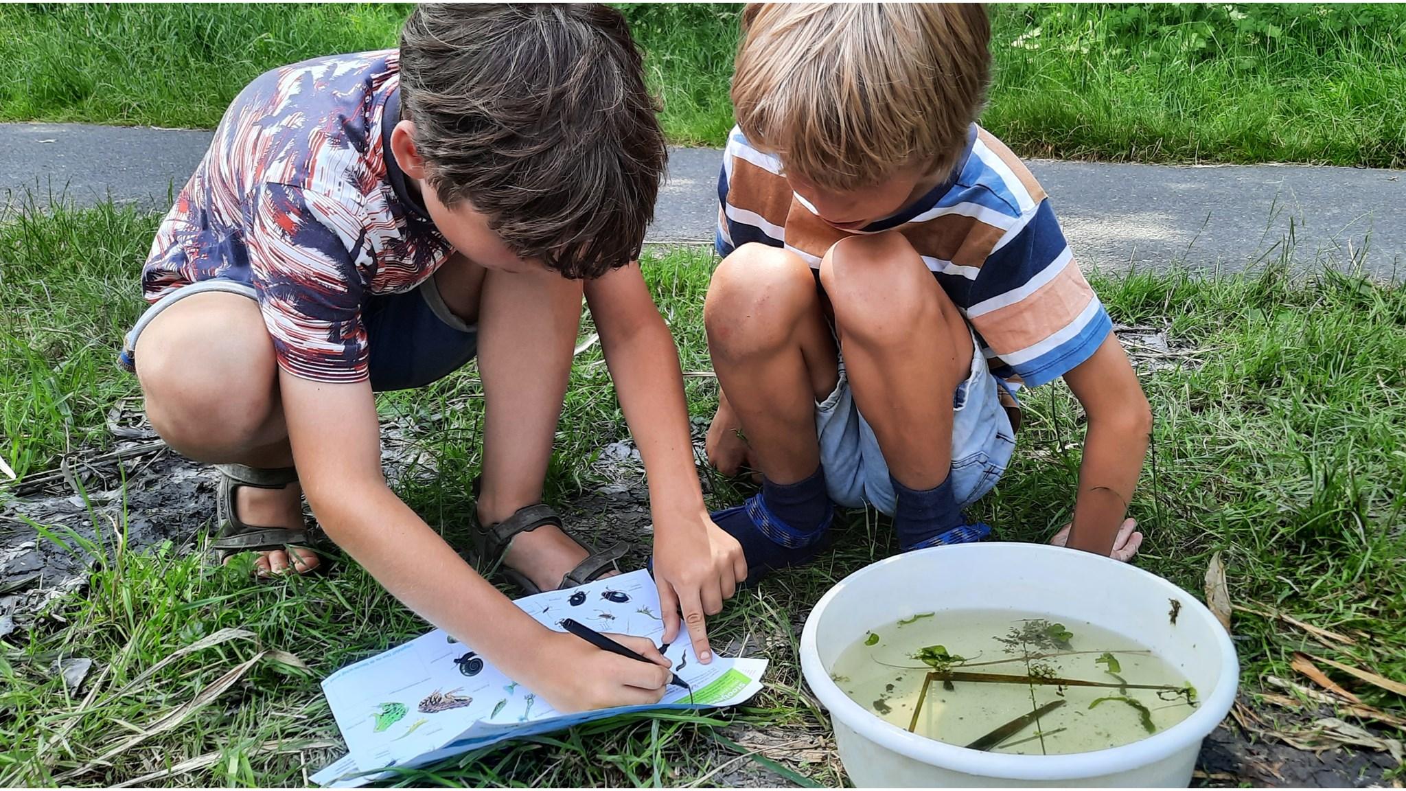 Kinderen van Freinetschool Delft ontdekken de natuur op het schoolplein door het bestuderen van waterplanten en insecten. Kinderen van Freinetschool Delft ontdekken de natuur op het schoolplein door het bestuderen van waterplanten en insecten.