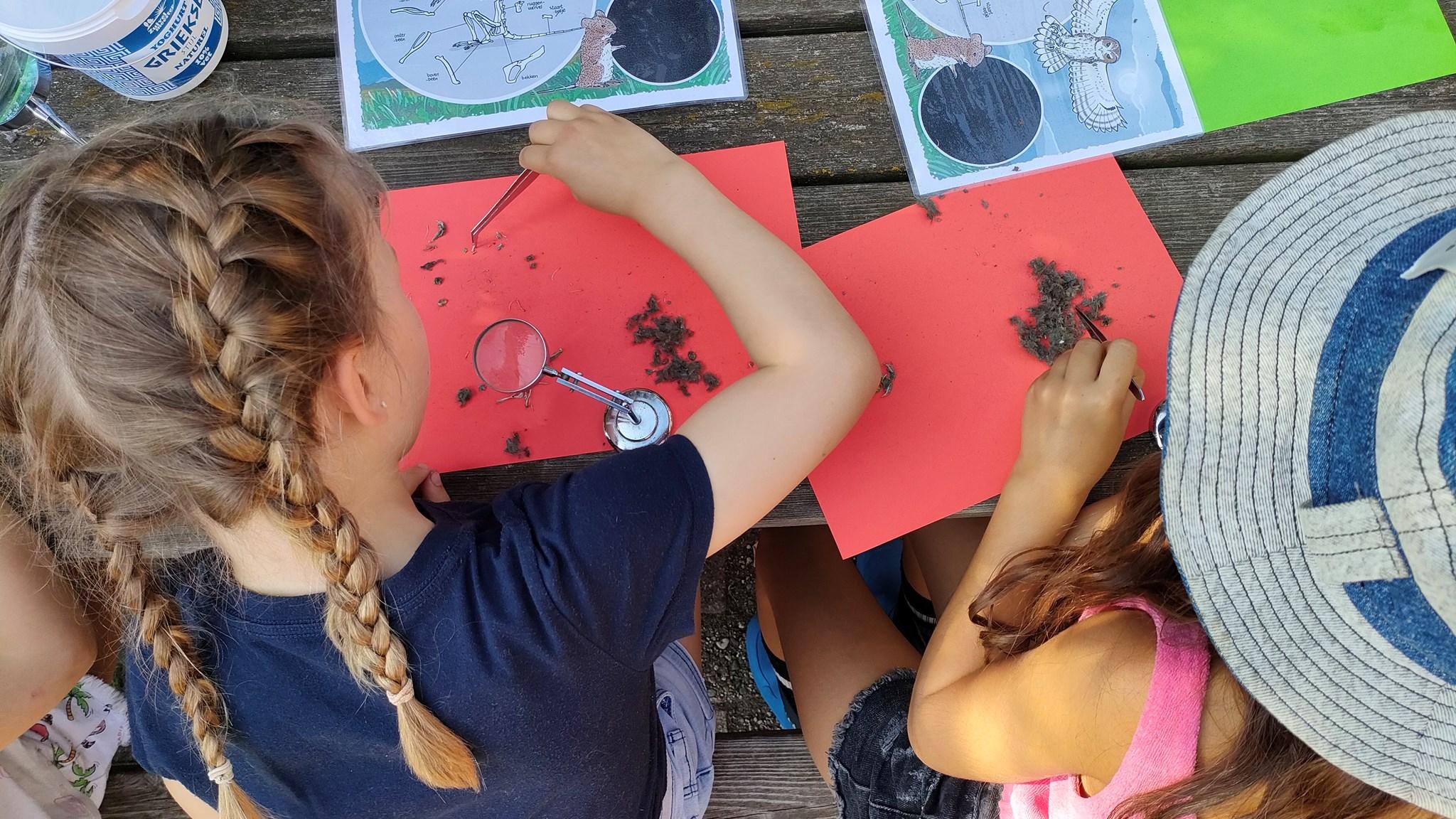 Kinderen van IKC De Kleine Reus in Amsterdam onderzoeken materialen op het schoolplein. Kinderen van IKC De Kleine Reus in Amsterdam onderzoeken materialen op het schoolplein.