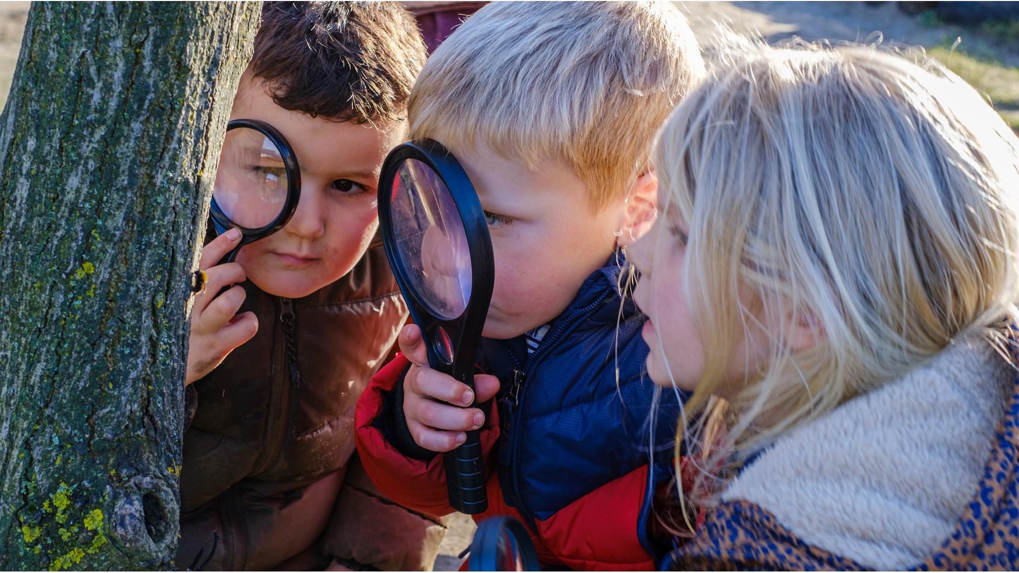 Kinderen van Jenaplan Basisschool Vlinderbos in Wilnis verkennen de natuur met vergrootglazen op het schoolplein. Kinderen van Jenaplan Basisschool Vlinderbos in Wilnis verkennen de natuur met vergrootglazen op het schoolplein.