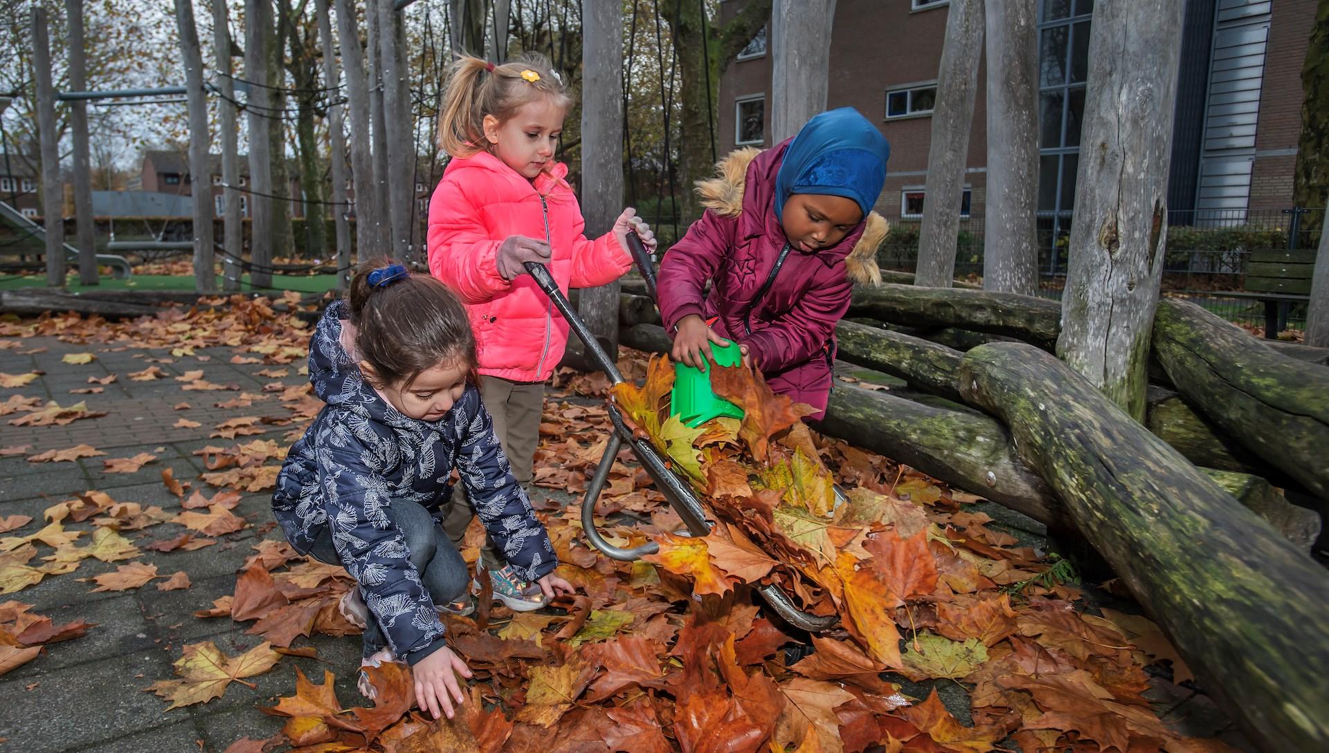 Kinderen van Kbs De Parel in Breda spelen en helpen met het opruimen van bladeren op het schoolplein. Kinderen van Kbs De Parel in Breda spelen en helpen met het opruimen van bladeren op het schoolplein.