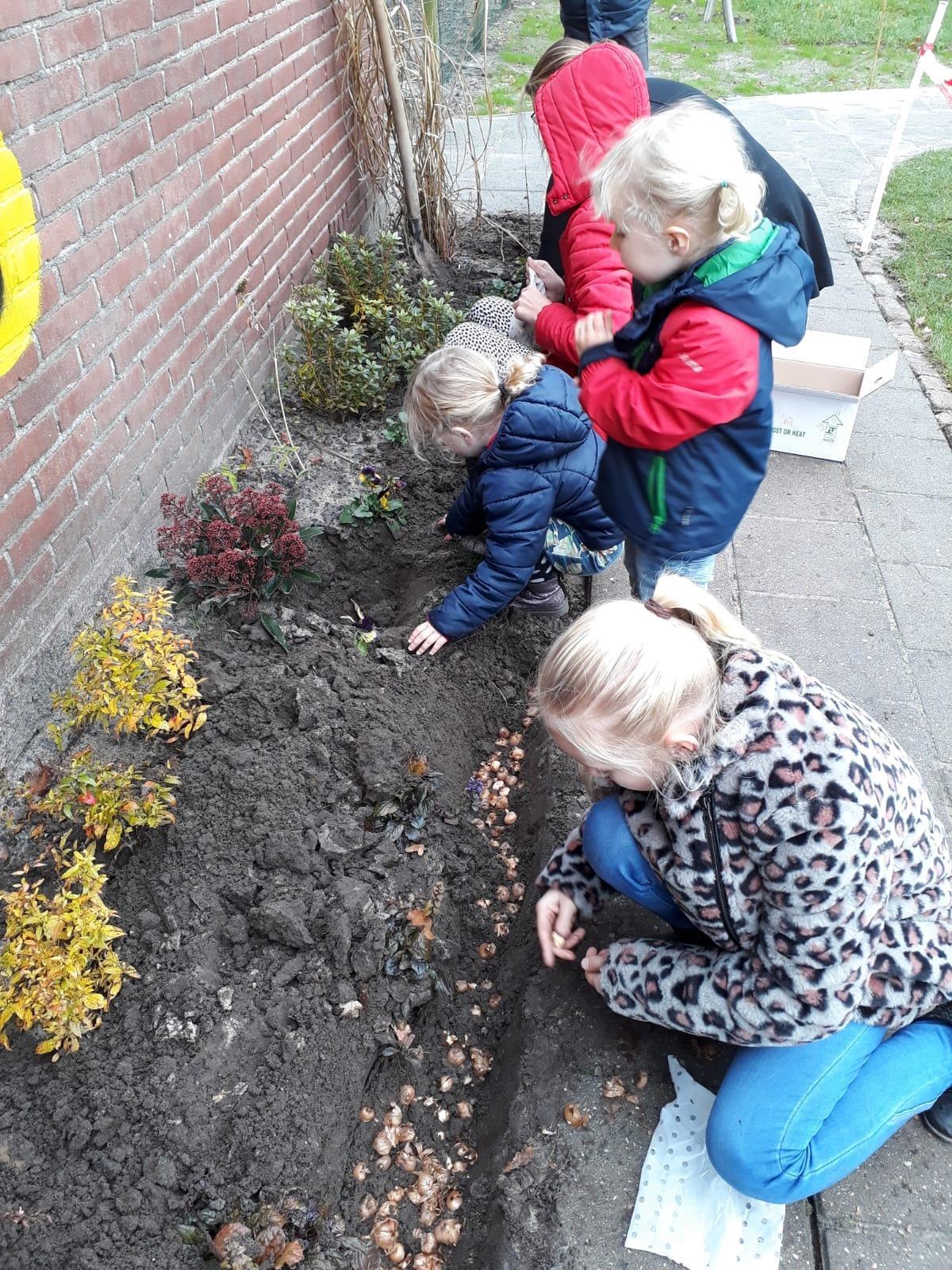 Kinderen van KC 't Echtenest in Echten (Drenthe) planten bloembollen op het schoolplein. Kinderen van KC 't Echtenest in Echten (Drenthe) planten bloembollen op het schoolplein.