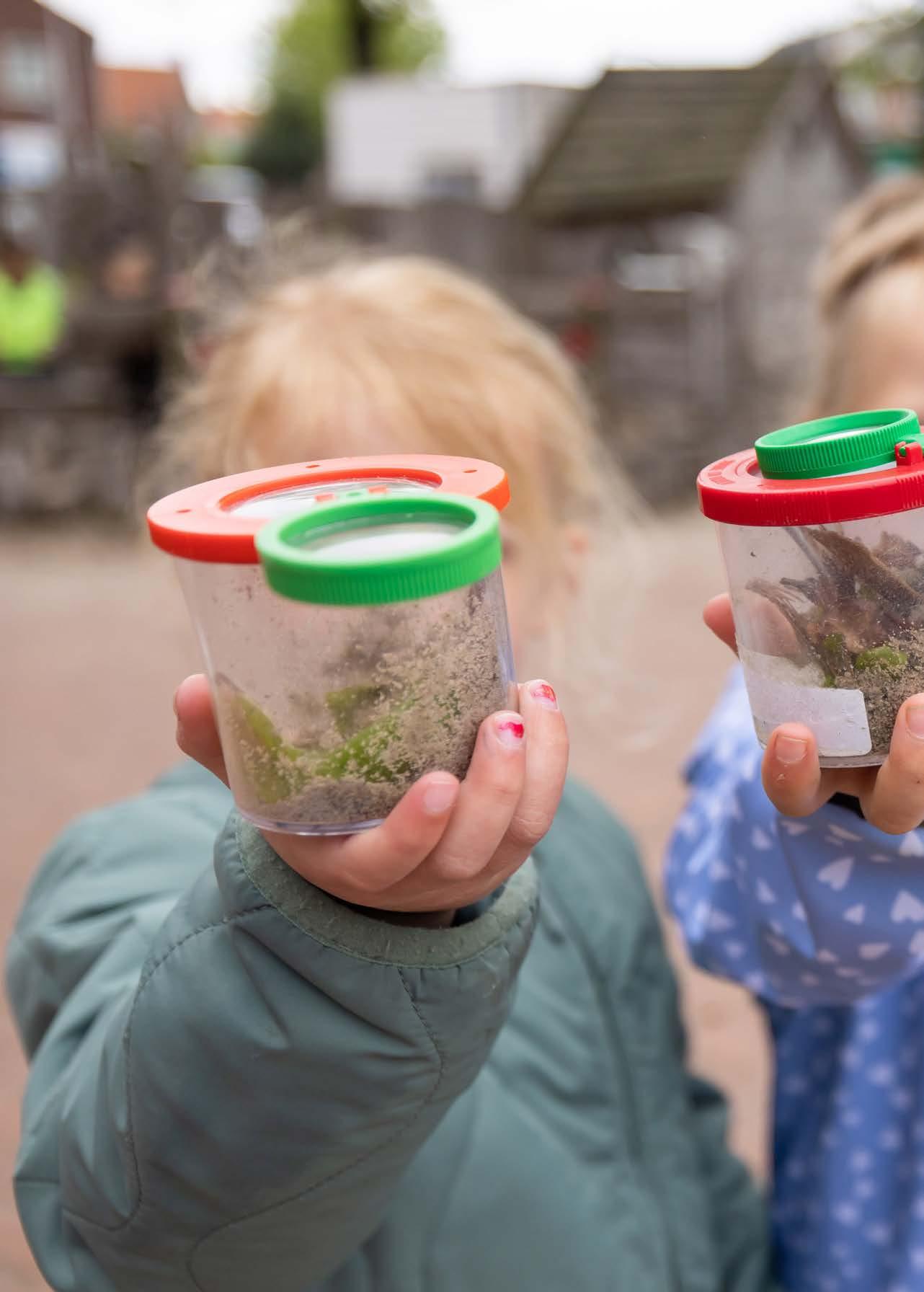 Kinderen van Openbaar Kindcentrum de Springplank in Heino tonen hun insecten en gewassen in doorzichtige bakjes op het schoolplein. Kinderen van Openbaar Kindcentrum de Springplank in Heino tonen hun insecten en gewassen in doorzichtige bakjes op het schoolplein.