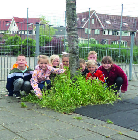 Kinderen van Openbare Basisschool De Hasselbraam in Deurne spelen rond een boom op het schoolplein. Kinderen van Openbare Basisschool De Hasselbraam in Deurne spelen rond een boom op het schoolplein.