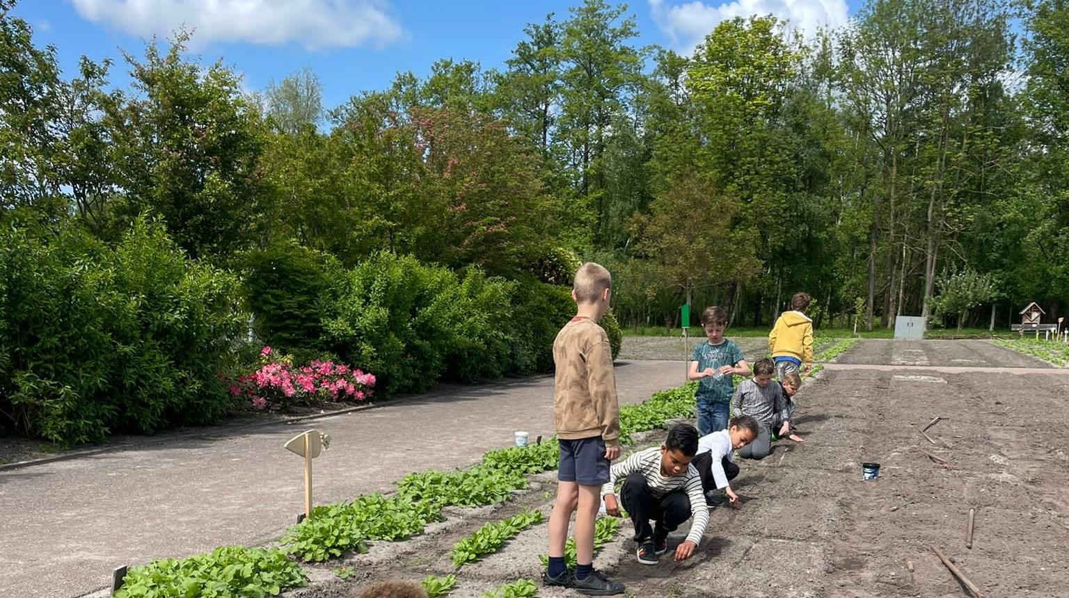 Kinderen van Openbare Basisschool De Rietkraag in Oostzaan zijn bezig met tuinieren op het schoolplein. Kinderen van Openbare Basisschool De Rietkraag in Oostzaan zijn bezig met tuinieren op het schoolplein.