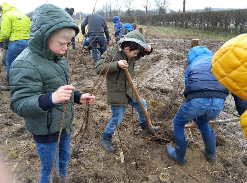 Kinderen van Rk Bs De Cramignon in Eijsden zijn actief bezig met het planten van bomen in een modderig veld. Kinderen van Rk Bs De Cramignon in Eijsden zijn actief bezig met het planten van bomen in een modderig veld.