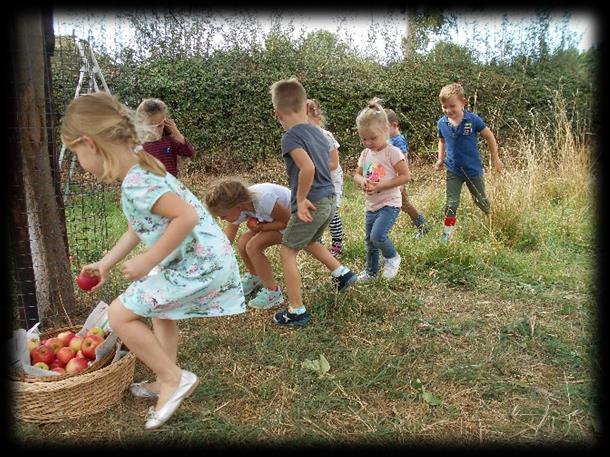 Kinderen van Rooms Katholieke Basisschool Maurice Rose in Margraten plukken appels in de natuur. Kinderen van Rooms Katholieke Basisschool Maurice Rose in Margraten plukken appels in de natuur.