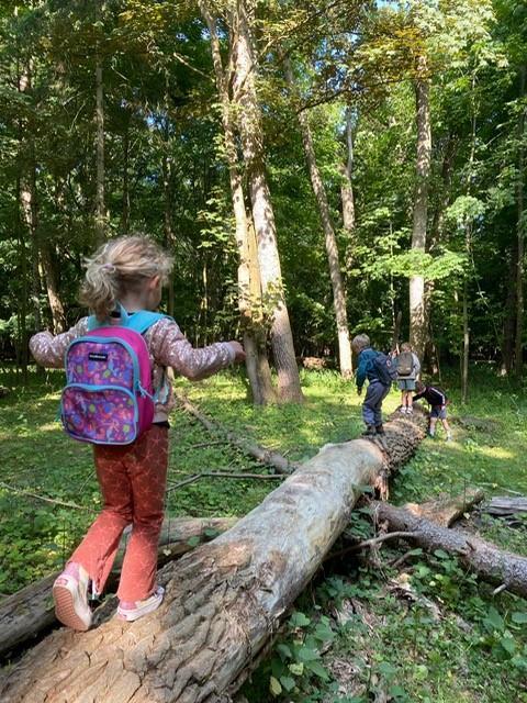 Kinderen van Vrije School Kleverpark in Haarlem spelen en verkennen de natuur op een omgevallen boom in het bos. Kinderen van Vrije School Kleverpark in Haarlem spelen en verkennen de natuur op een omgevallen boom in het bos.