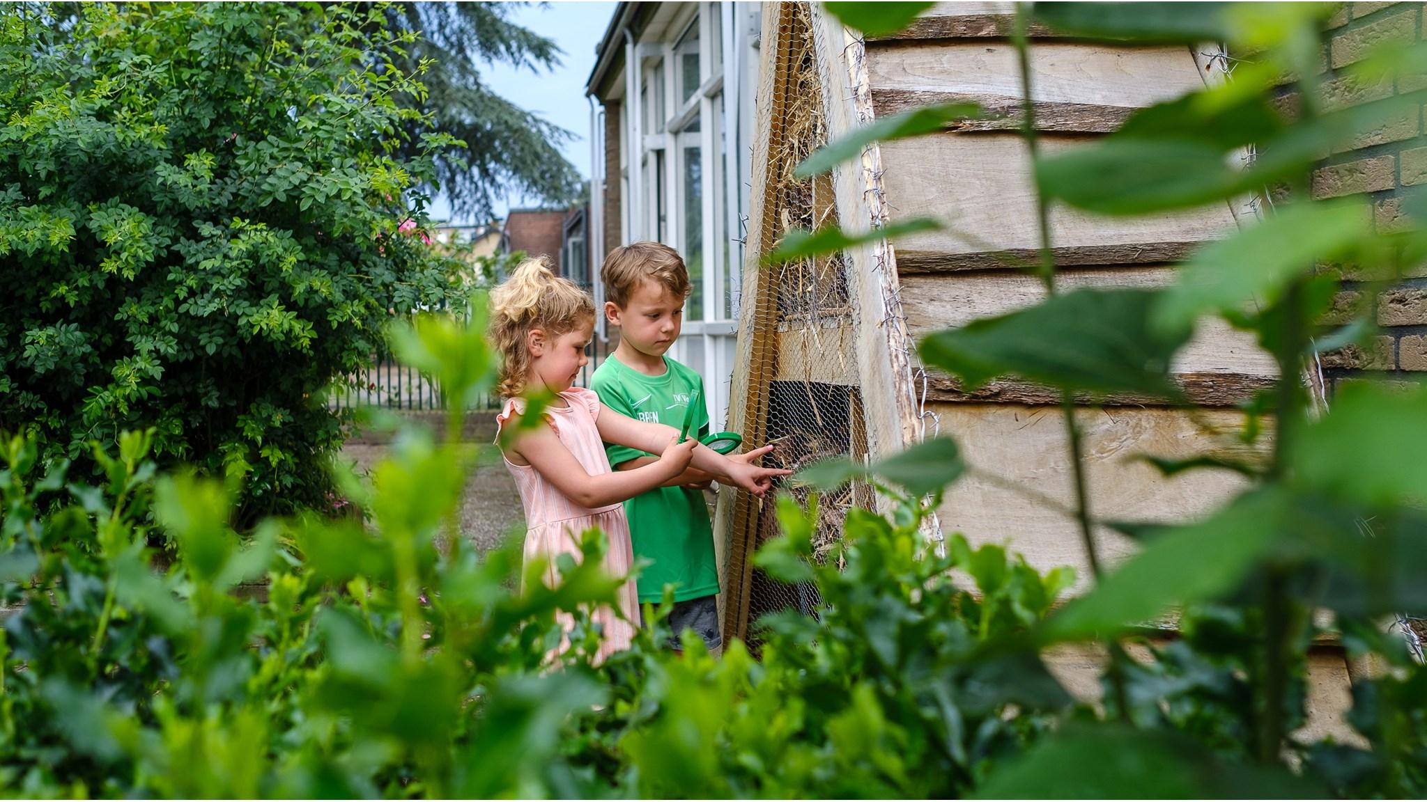 Kinderen verkennen de natuur op het schoolplein van PC Daltonschool Willem van Oranje in Apeldoorn. Kinderen verkennen de natuur op het schoolplein van PC Daltonschool Willem van Oranje in Apeldoorn.