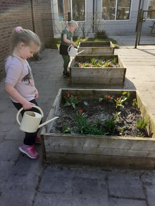 Kinderen water geven in de moestuin van CKC Rehoboth in Valthermond. Kinderen water geven in de moestuin van CKC Rehoboth in Valthermond.