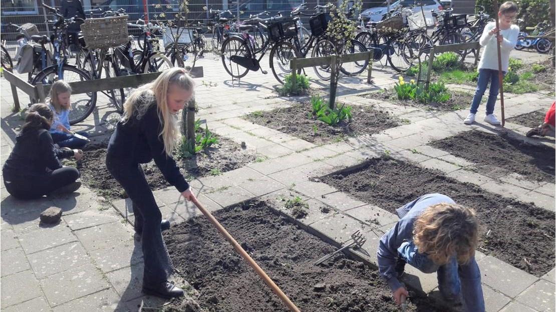 Kinderen werken in de tuin op het schoolplein van Montessori Tiel in Tiel. Kinderen werken in de tuin op het schoolplein van Montessori Tiel in Tiel.