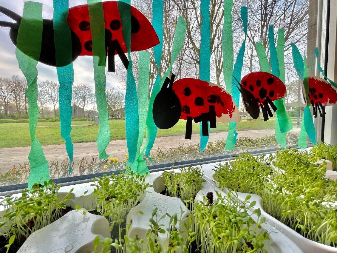 Kunstzinnige decoratie met lieveheersbeestjes en planten in de klas van Openbare Basisschool Sterrendonk in Oosterhout. Kunstzinnige decoratie met lieveheersbeestjes en planten in de klas van Openbare Basisschool Sterrendonk in Oosterhout.