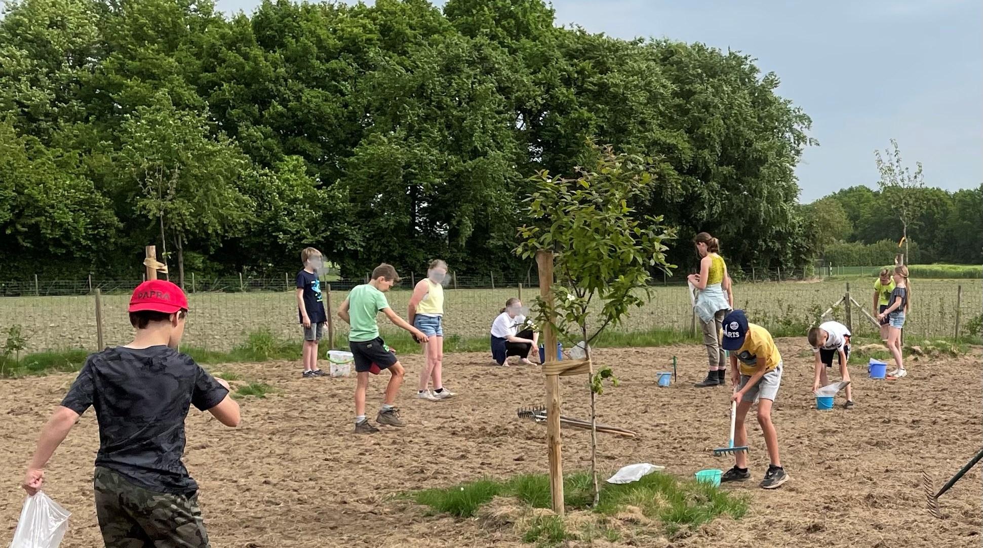 Leerlingen van Basisschool De Koningsspil in Thorn zijn bezig met tuinonderhoud op het schoolplein. Leerlingen van Basisschool De Koningsspil in Thorn zijn bezig met tuinonderhoud op het schoolplein.