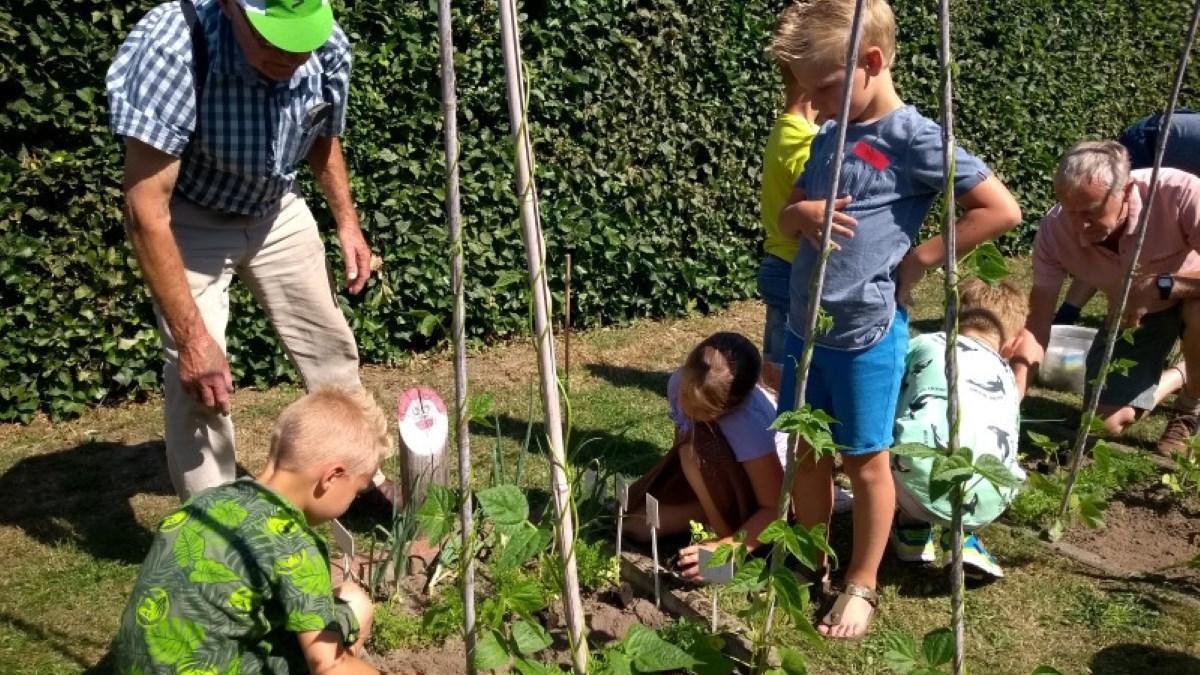 Leerlingen van Basisschool De Kwir in Neer zijn actief betrokken bij tuinieren op het schoolplein. Leerlingen van Basisschool De Kwir in Neer zijn actief betrokken bij tuinieren op het schoolplein.