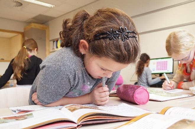 Leerlingen van basisschool De Meidoorn in Kerkdriel zijn geconcentreerd aan het studeren in de klas. Leerlingen van basisschool De Meidoorn in Kerkdriel zijn geconcentreerd aan het studeren in de klas.