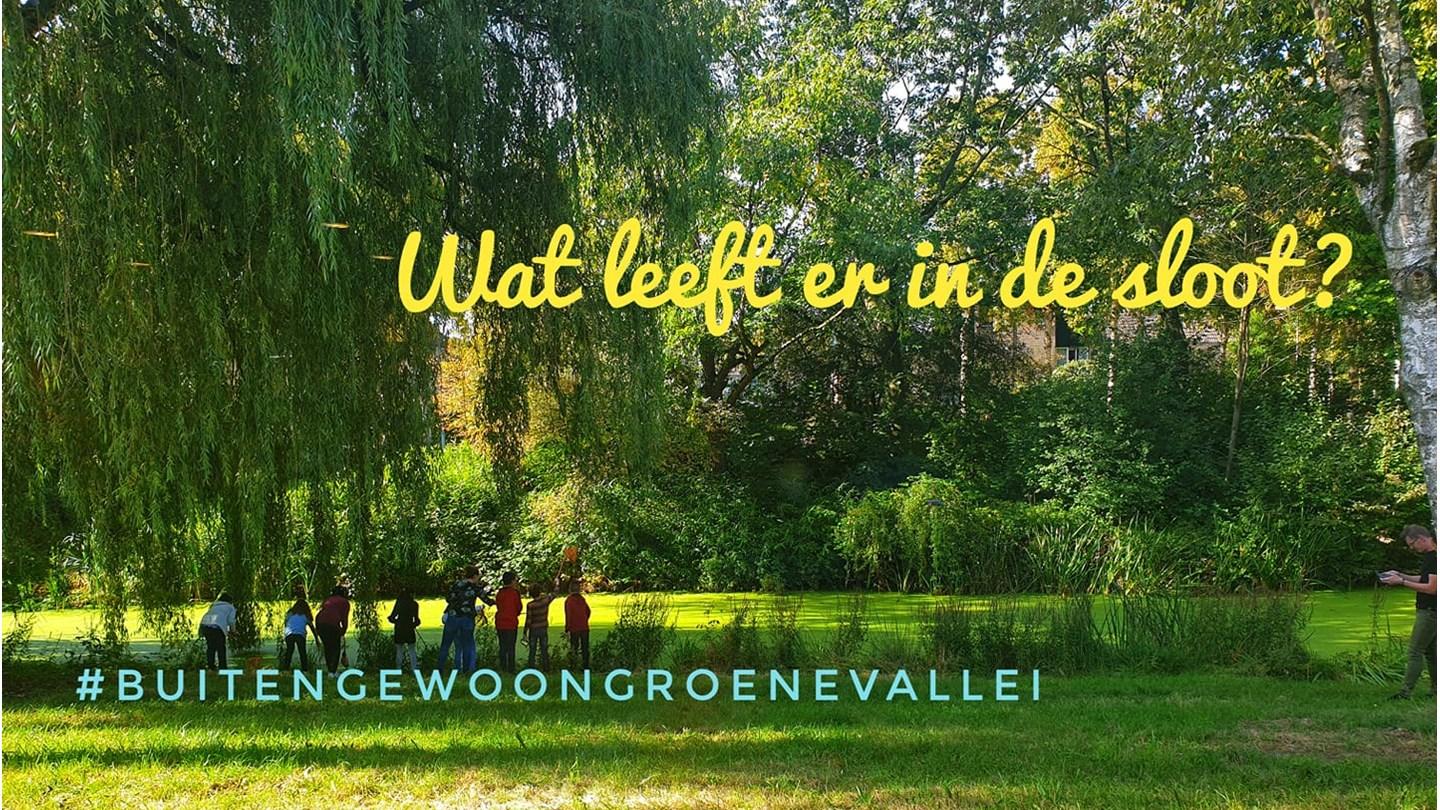 Leerlingen van Basisschool Groene Vallei in Ede onderzoeken de natuur aan de sloot.