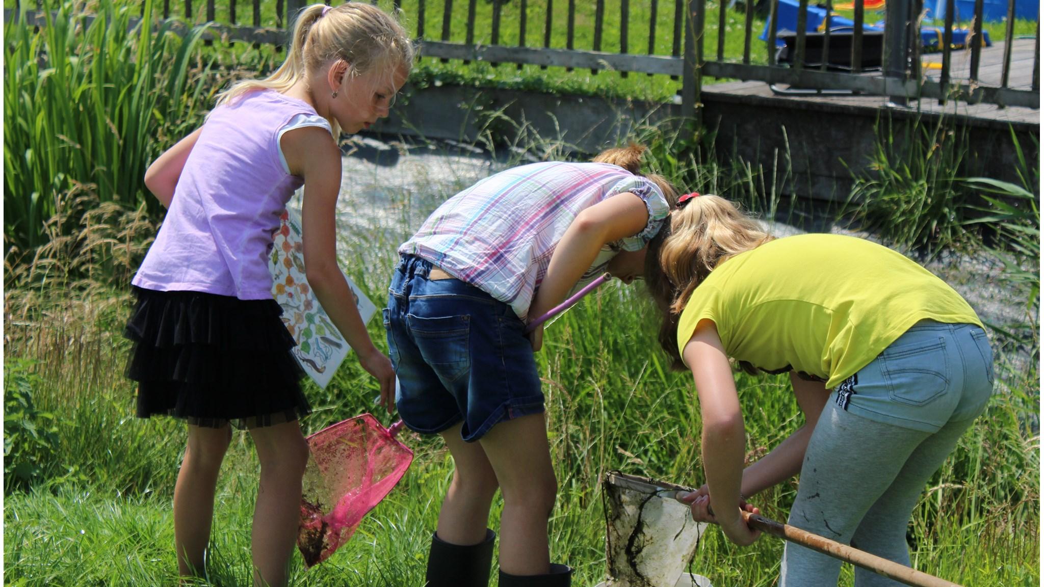 Leerlingen van Basisschool St Gregorius in Blauwhuis zijn actief bezig met buitenonderwijs en natuuronderzoek op het schoolplein. Leerlingen van Basisschool St Gregorius in Blauwhuis zijn actief bezig met buitenonderwijs en natuuronderzoek op het schoolplein.