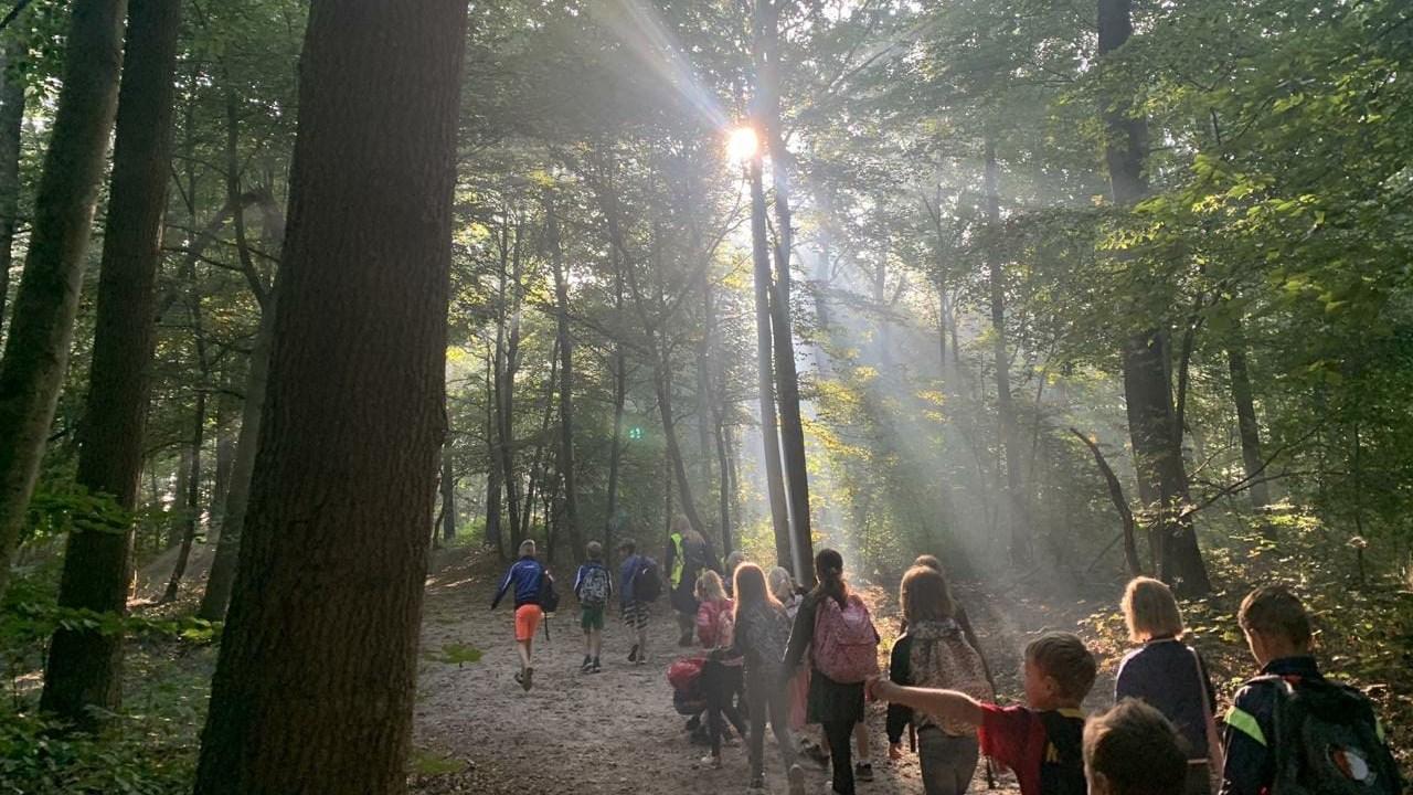 Leerlingen van Burgemeester de Ruiterschool in Kuinre wandelen door een bos bij zonnig weer. Leerlingen van Burgemeester de Ruiterschool in Kuinre wandelen door een bos bij zonnig weer.
