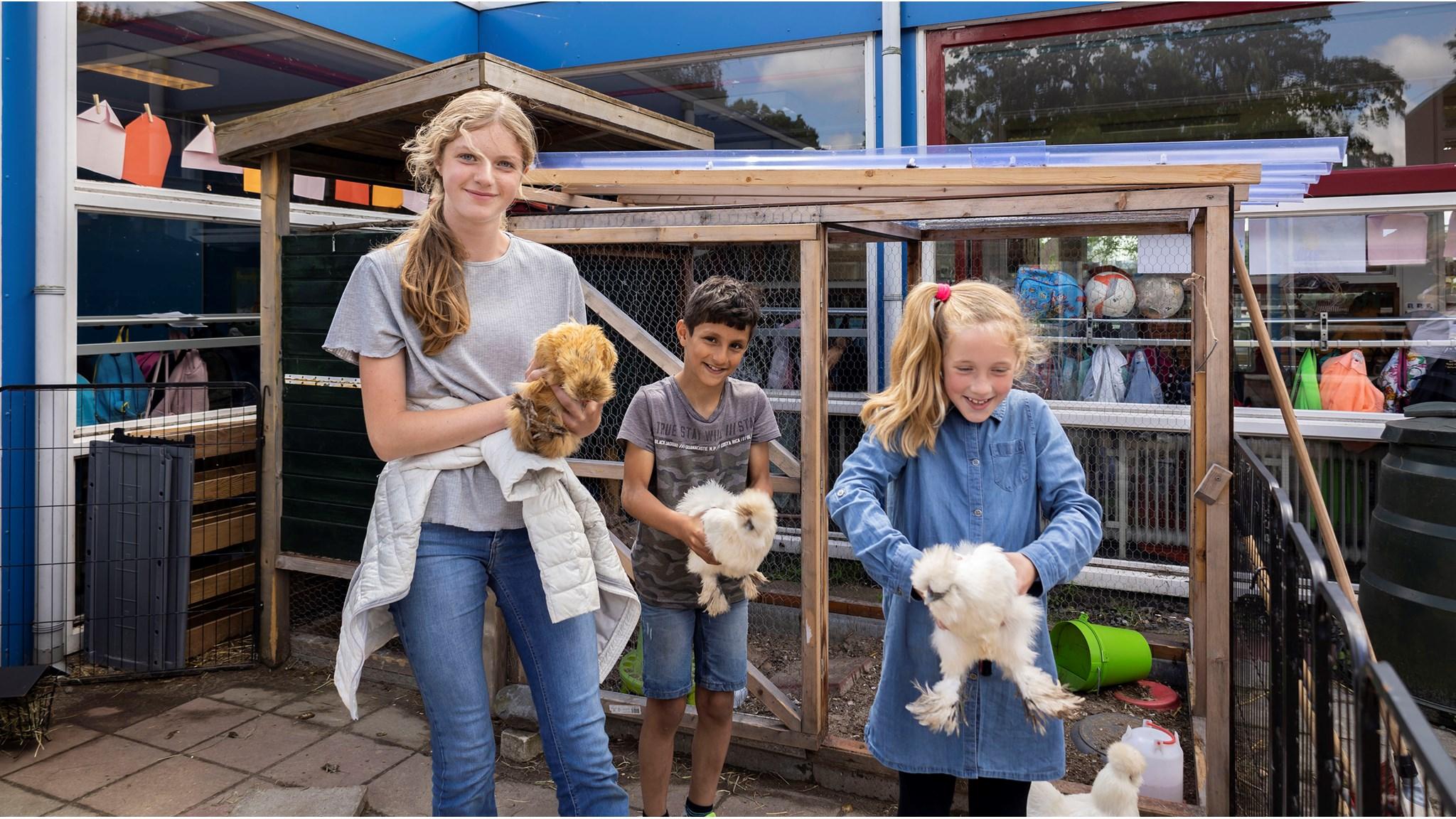 Leerlingen van Communityschool De Kameleon in Zwanenburg verzorgen dieren op het schoolplein.
