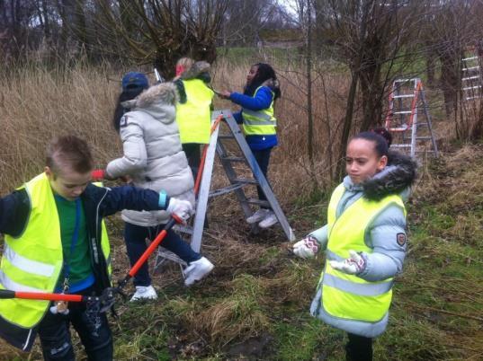 Leerlingen van Dalton Kind Centrum De IJsbreker in Amsterdam zijn aan het werk in de natuur.