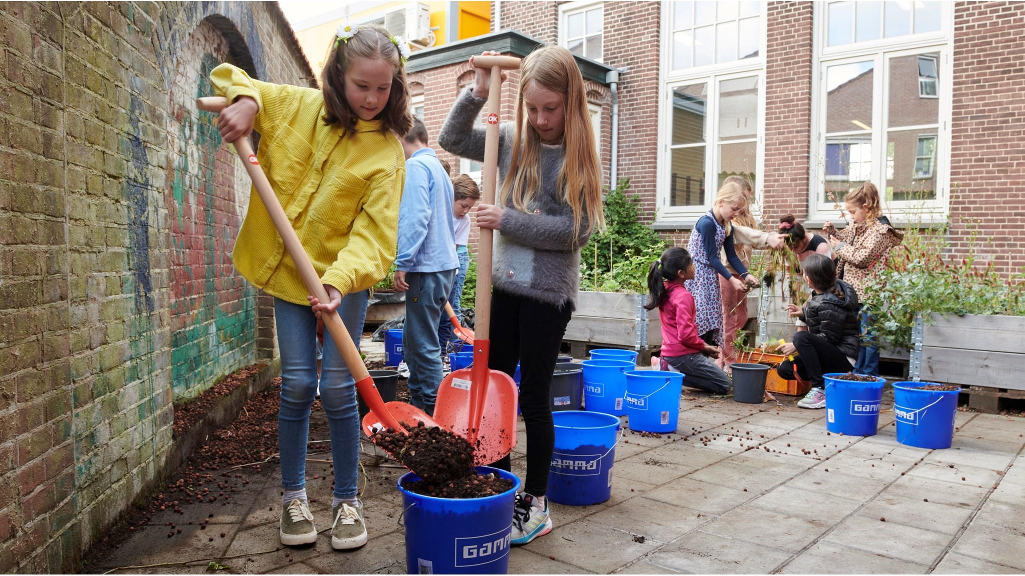 Leerlingen van de Cruquiusschool in Haarlem zijn actief aan het tuinieren op het schoolplein. Leerlingen van de Cruquiusschool in Haarlem zijn actief aan het tuinieren op het schoolplein.
