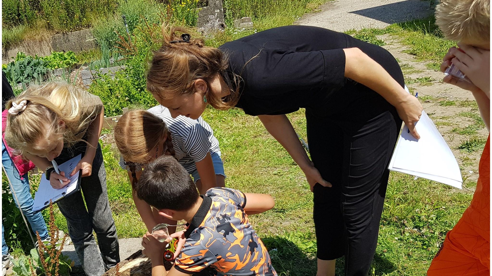 Leerlingen van de Katholieke Basisschool St Michiel in Schalkwijk onderzoeken de natuur op het schoolplein. Leerlingen van de Katholieke Basisschool St Michiel in Schalkwijk onderzoeken de natuur op het schoolplein.