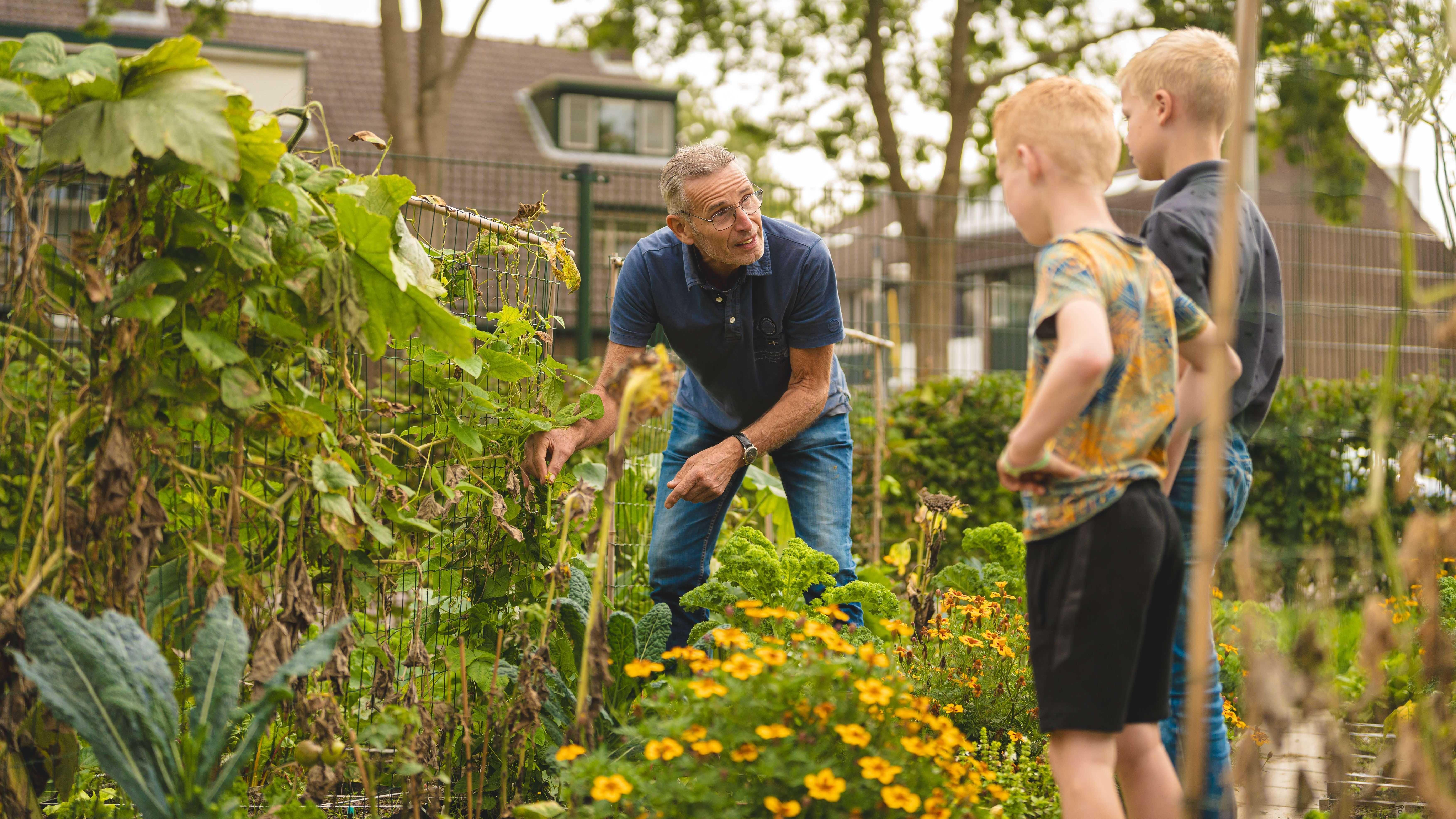 Leerlingen van de Nederlands Hervormde Basisschool Bethel in Waddinxveen werken samen in de schooltuin. Leerlingen van de Nederlands Hervormde Basisschool Bethel in Waddinxveen werken samen in de schooltuin.