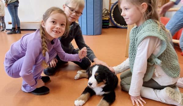 Leerlingen van de Obs Prinses Margrietschool in West-Terschelling spelen met een puppy in het klaslokaal. Leerlingen van de Obs Prinses Margrietschool in West-Terschelling spelen met een puppy in het klaslokaal.