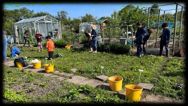 Leerlingen van Het Mozaïek in Alphen aan den Rijn zijn bezig met tuinieren in de schooltuin. Leerlingen van Het Mozaïek in Alphen aan den Rijn zijn bezig met tuinieren in de schooltuin.