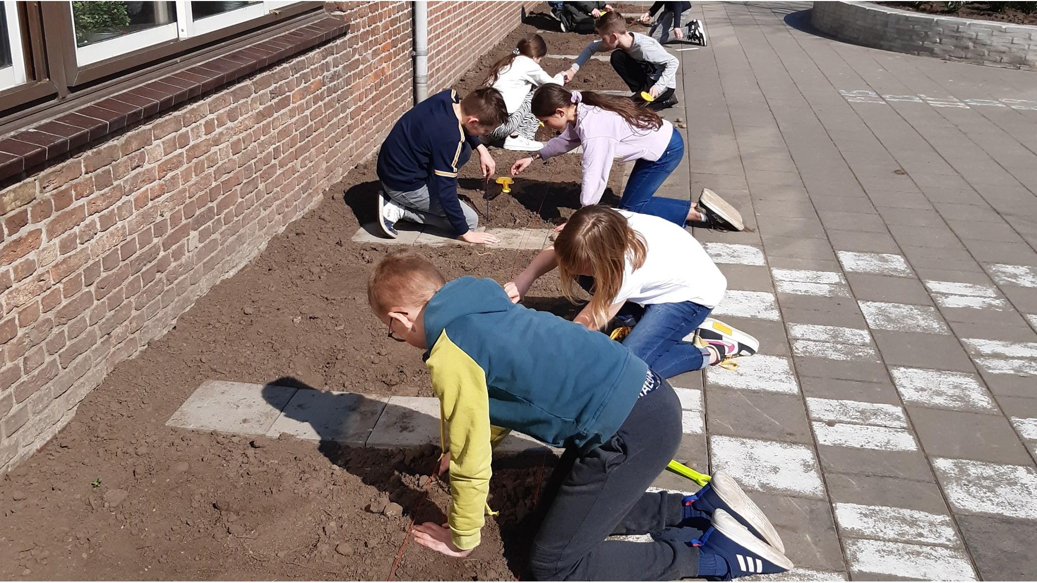 Leerlingen van IKC De Stek in Est zijn bezig met het planten van bloemen op het schoolplein. Leerlingen van IKC De Stek in Est zijn bezig met het planten van bloemen op het schoolplein.
