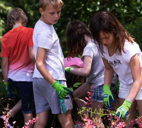Leerlingen van Jozefschool Katholiek Basisonderwijs in Aalsmeer zijn bezig met tuinwerkzaamheden op het schoolplein. Leerlingen van Jozefschool Katholiek Basisonderwijs in Aalsmeer zijn bezig met tuinwerkzaamheden op het schoolplein.