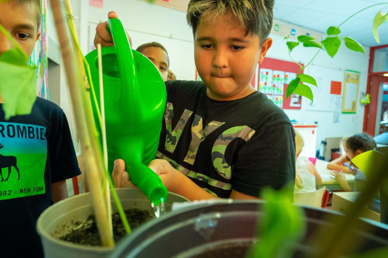 Leerlingen van Openbare Basisschool de Cocon in Alkmaar verzorgen planten in de klas. Leerlingen van Openbare Basisschool de Cocon in Alkmaar verzorgen planten in de klas.