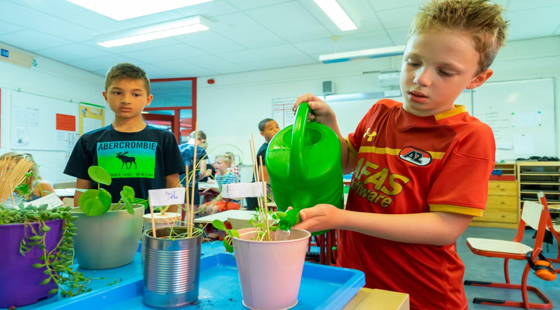 Leerlingen van Openbare Basisschool de Cocon in Alkmaar zijn bezig met het verzorgen van planten in de klas. Leerlingen van Openbare Basisschool de Cocon in Alkmaar zijn bezig met het verzorgen van planten in de klas.