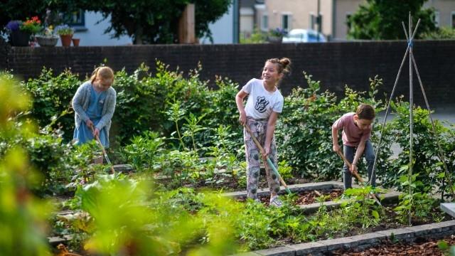 Leerlingen van PCBO De Diamant Beemte in Beemte Broekland zijn bezig met tuinieren op het schoolplein. Leerlingen van PCBO De Diamant Beemte in Beemte Broekland zijn bezig met tuinieren op het schoolplein.