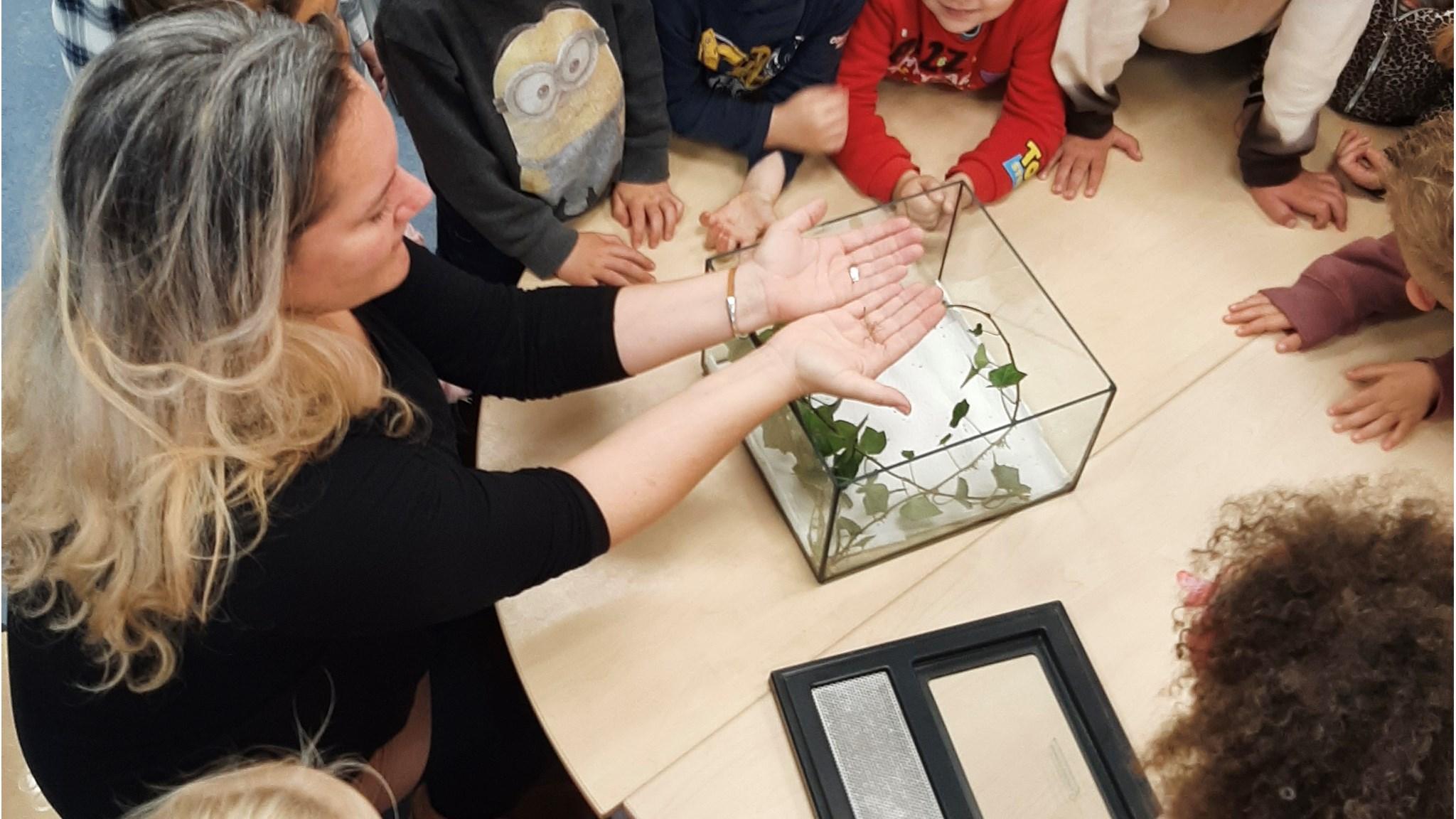 Leraren en leerlingen van IKC De Tragellijn in Lobith observeren een interessante les met een terrarium. Leraren en leerlingen van IKC De Tragellijn in Lobith observeren een interessante les met een terrarium.