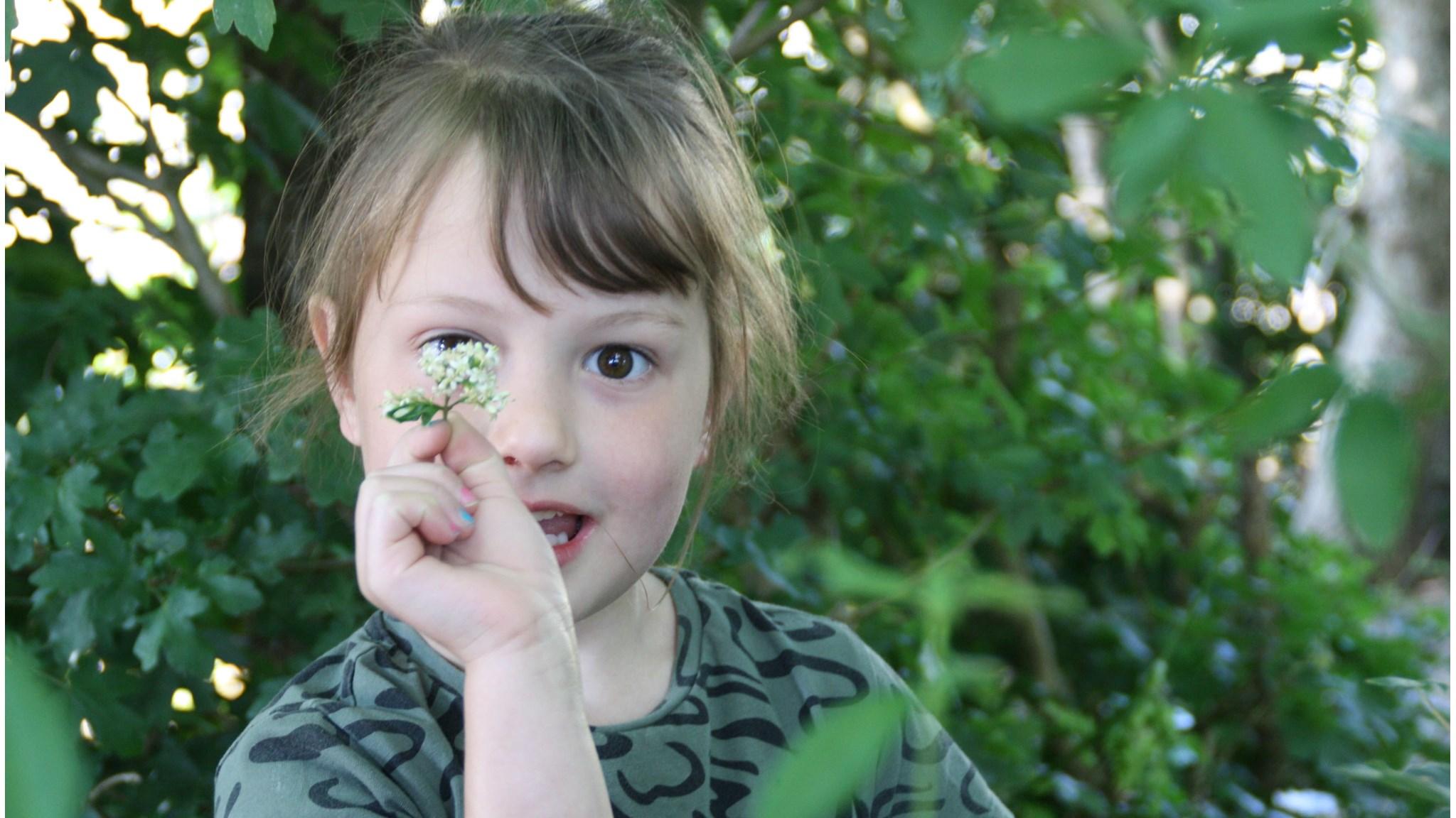 Meisje met een bloem in Basisschool Bonifatius in Spanbroek. Meisje met een bloem in Basisschool Bonifatius in Spanbroek.