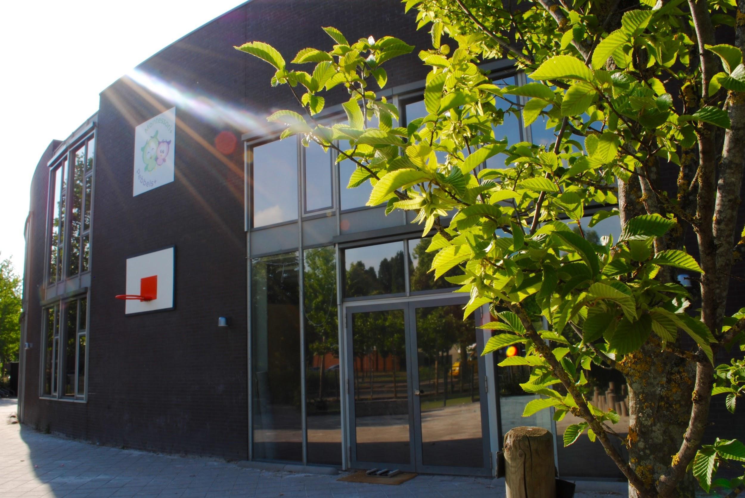 Montessori + locatie Breda, een moderne school met een gezellig schoolplein en een basketbalring. Montessori + locatie Breda, een moderne school met een gezellig schoolplein en een basketbalring.