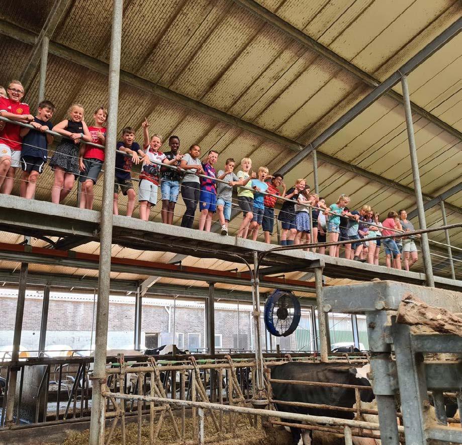 Schoolkinderen van Christelijke Basisschool de Roerganger in Heerenveen op een boerderij, die enthousiast kijken vanaf een bovenverdieping. Schoolkinderen van Christelijke Basisschool de Roerganger in Heerenveen op een boerderij, die enthousiast kijken vanaf een bovenverdieping.