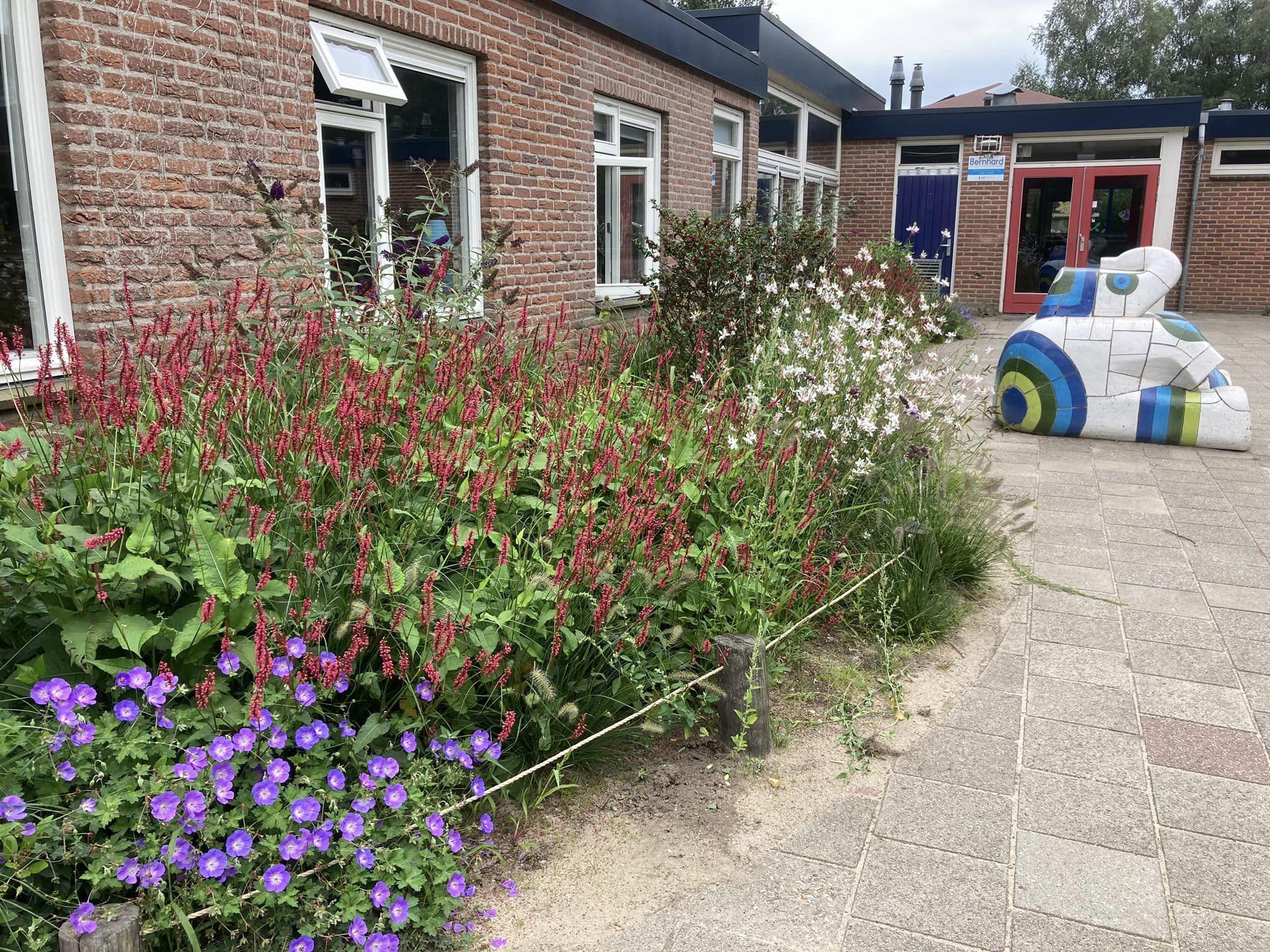 Schoolplein met kleurrijke bloemen en een stenen sculptuur bij Bernhardschool Ermelo. Schoolplein met kleurrijke bloemen en een stenen sculptuur bij Bernhardschool Ermelo.