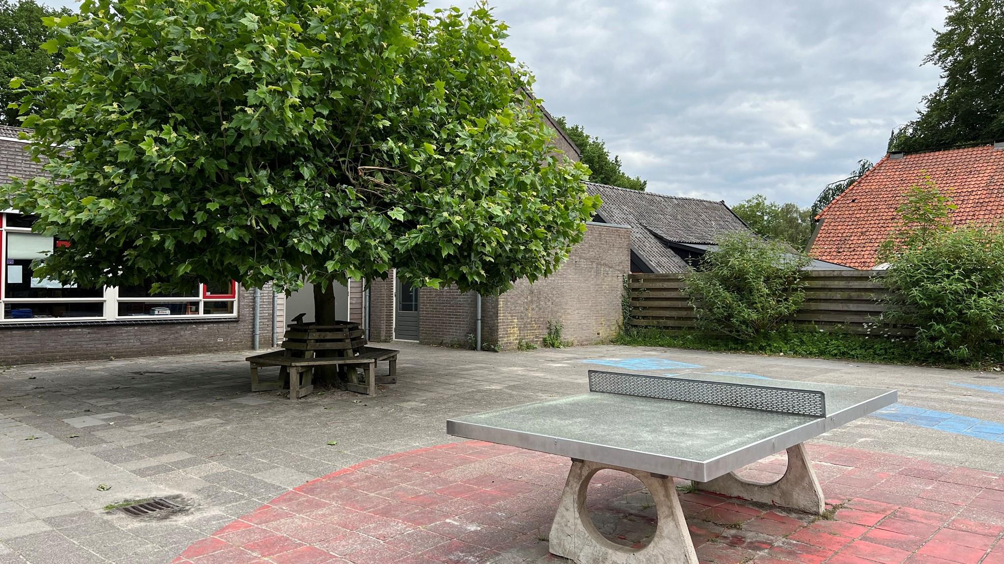 Schoolplein van Basisschool Anloo in Anloo met een grote boom en een tafeltennistafel. Schoolplein van Basisschool Anloo in Anloo met een grote boom en een tafeltennistafel.