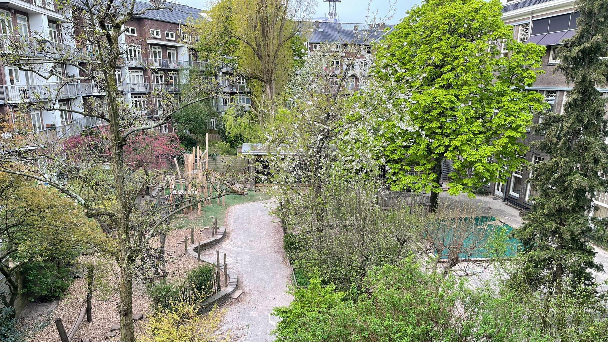 Schoolplein van Basisschool Anne Frank 6e Montessori-School in Amsterdam met groene bomen en speeltoestellen. Schoolplein van Basisschool Anne Frank 6e Montessori-School in Amsterdam met groene bomen en speeltoestellen.