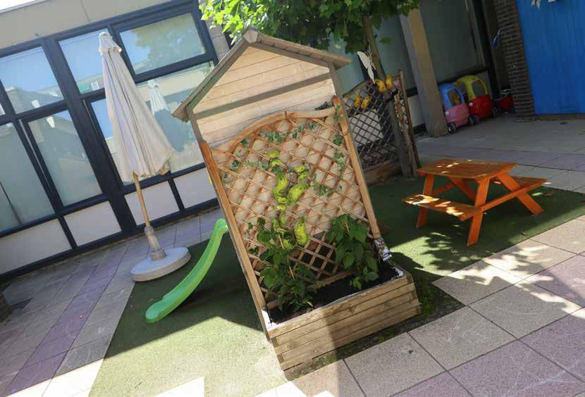 Schoolplein van Basisschool De Vlinderboom in Maastricht met een speelhuisje en groenvoorzieningen. Schoolplein van Basisschool De Vlinderboom in Maastricht met een speelhuisje en groenvoorzieningen.