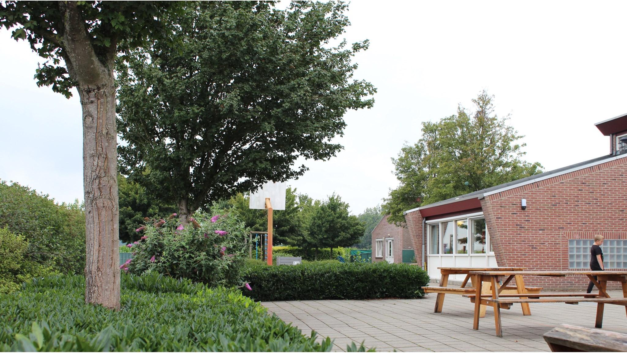 Schoolplein van Basisschool Sint Bernardus in Clinge met groene bomen en zitplaatsen. Schoolplein van Basisschool Sint Bernardus in Clinge met groene bomen en zitplaatsen.