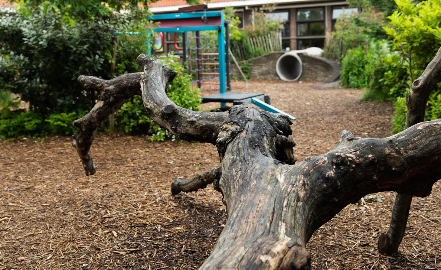 Schoolplein van de Jozefschool Katholiek Basisonderwijs in Aalsmeer met een natuurlijke speelstructuur en speeltoestellen. Schoolplein van de Jozefschool Katholiek Basisonderwijs in Aalsmeer met een natuurlijke speelstructuur en speeltoestellen.
