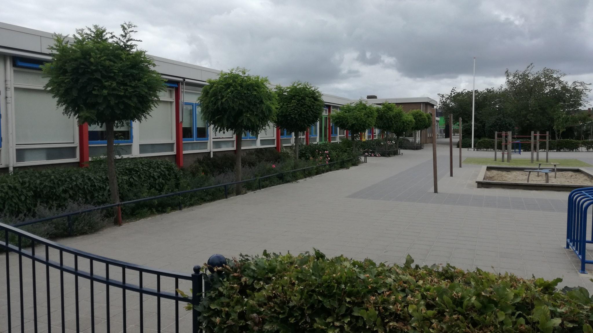 Schoolplein van de Obadjaschool Cluster 4 in Zwolle met betegelde paden en groene bomen. Schoolplein van de Obadjaschool Cluster 4 in Zwolle met betegelde paden en groene bomen.
