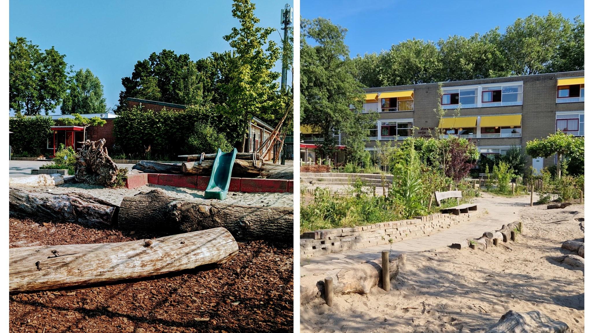 Schoolplein van Dordtse Vrije School in Dordrecht met natuurlijke speelmogelijkheden en groen. Schoolplein van Dordtse Vrije School in Dordrecht met natuurlijke speelmogelijkheden en groen.