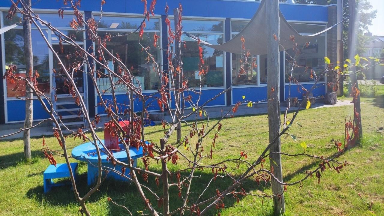 Schoolplein van IKC De Lente in Abbenes, met kleurrijke meubels en een sfeervolle omgeving. Schoolplein van IKC De Lente in Abbenes, met kleurrijke meubels en een sfeervolle omgeving.