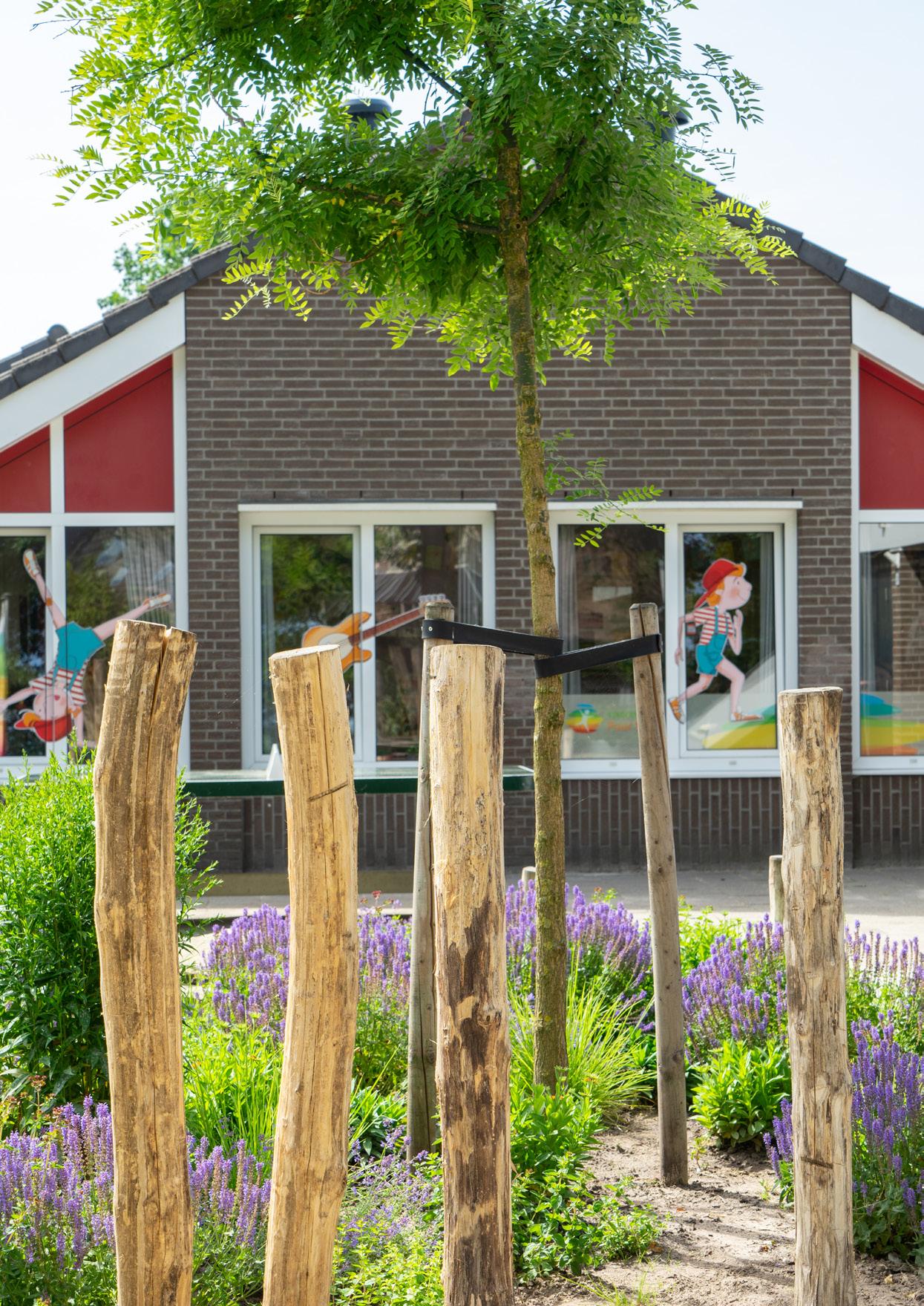 Schoolplein van Kindcentrum Puur Sang locatie Lucia in Mierlo, met kleurrijke muurdossier en groene tuin. Schoolplein van Kindcentrum Puur Sang locatie Lucia in Mierlo, met kleurrijke muurdossier en groene tuin.